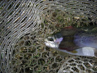 アクロバット的なひねり?